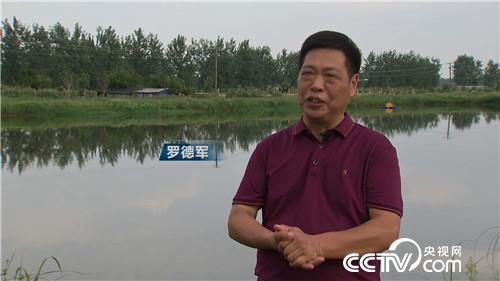 [致富經(jīng)]憋屈大叔被逼養(yǎng)蝦 靠一個(gè)字年賣(mài)千萬(wàn) 20180918 