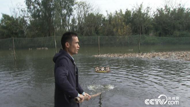 工薪小伙趕鴨下海 不到兩年賣(mài)千萬(wàn)